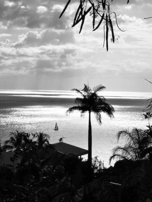 Ti Sucrier Jaune - Douceur Caraibe Vue Mer Le Carbet Eksteriør billede