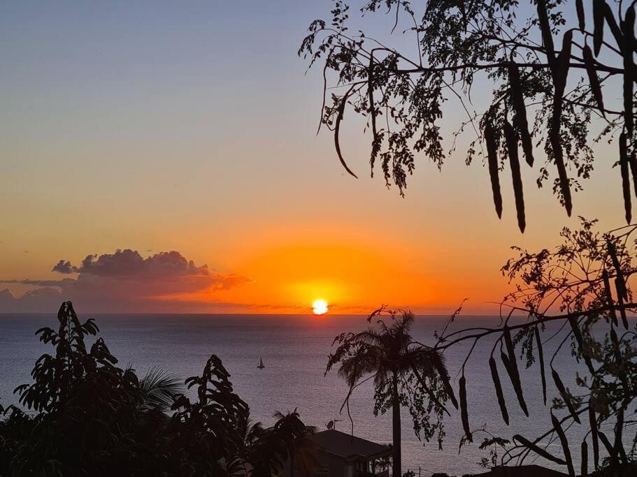 Ti Sucrier Jaune - Douceur Caraibe Vue Mer Le Carbet Eksteriør billede